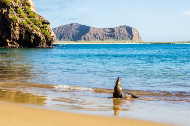 Galápagos — Galápagos, Ecuador